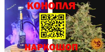 индика Краснокаменск