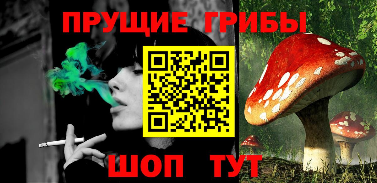 Галлюциногенные грибы прущие грибы Зеленокумск