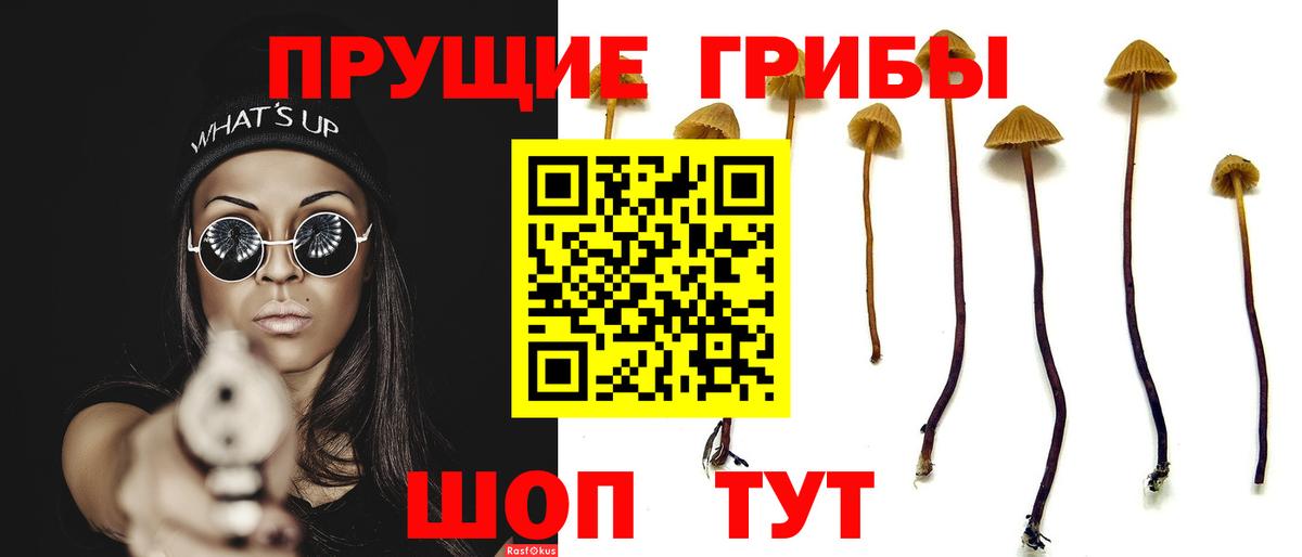 Зеленокумск  Галлюциногенные грибы GOLDEN TEACHER  Вход с VPN  Псилоцибиновые грибы Psilocybe 